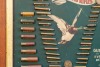 Complete Winchester Ammunition 1897 Double-W Cartridge Display Board - 3