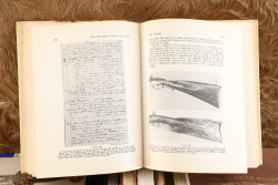Lots Of 33 Firearm Books Including "The Parker Story by The Parker Story Joint Venture Group" - 5