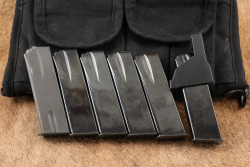 Springfield Armory SA-35 4.7&rdquo; 9mm Luger Semi-Auto Pistol & Carry Case, 6 Mags & Holster - 23