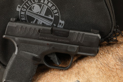 Springfield Armory Hellcat Micro-Compact HC9319BOSP 3" 9mm Luger Semi-Automatic Pistol, 2019-2024 - 5