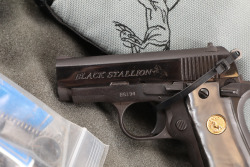 His and Her&rsquo;s Pair Colt Black Stallion & White Stallion Mustang .380 ACP Semi-Automatic Pistols Custom Shop Limited Edition Set (1993) - 25