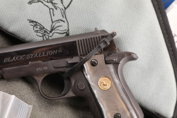 His and Her&rsquo;s Pair Colt Black Stallion & White Stallion Mustang .380 ACP Semi-Automatic Pistols Custom Shop Limited Edition Set (1993) - 26
