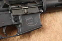 Bushmaster XM15-E2S 20" Semi-Auto Rifle .223 Rem Riton Optics&reg; 1 CONQUER 6-24x50mm Scope - 22