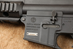 Smith & Wesson S&W M&P15-22P .22 LR ARP Semi-Automatic Pistol 6&rdquo; Barrel 2010-2011 - 19