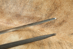 CANFIELD COLLECTION US Union Army Civil War Springfield M-1855 Socket Bayonet & British Sheath - 4