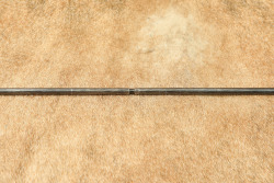 CANFIELD COLLECTION US Army Philippine Insurrection Pre-WW1 M-1903 Springfield Rifle Rod Bayonet - 3