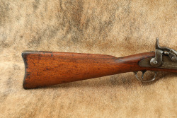 Springfield Model 1884 Carbine .45-70 Government Trapdoor Single Shot Rifle 22"C&R MFD 1889 - 3