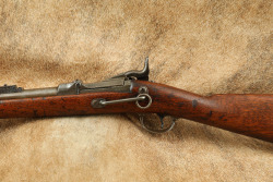 Springfield Model 1884 Carbine .45-70 Government Trapdoor Single Shot Rifle 22"C&R MFD 1889 - 10