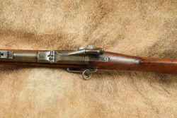Springfield Model 1884 Carbine .45-70 Government Trapdoor Single Shot Rifle 22"C&R MFD 1889 - 14