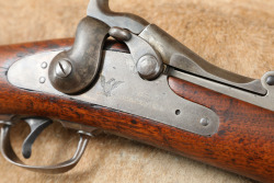 Springfield Model 1884 Carbine .45-70 Government Trapdoor Single Shot Rifle 22"C&R MFD 1889 - 22