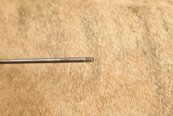 CANFIELD COLLECTION US Army Pre-Span Am Early M-1892 .30-40 Krag Rifle One-Piece Cleaning Rod - 6
