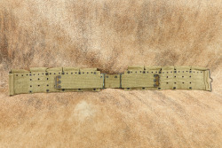 CANFIELD COLLECTION US Army Pre-WW1 Rimless & Rimmed Eagle Snap Springfield M-1910 Cartridge Belt - 7