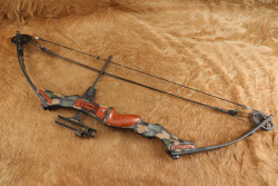 Late Movie Star Paul Walker's Personally Owned Martin M-44 Firecat Compound Bow W/ Case, Extras, COA - 2