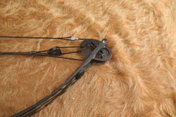 Late Movie Star Paul Walker's Personally Owned Martin M-44 Firecat Compound Bow W/ Case, Extras, COA - 7