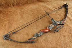 Late Movie Star Paul Walker's Personally Owned Martin M-44 Firecat Compound Bow W/ Case, Extras, COA - 8