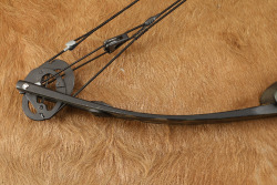 Late Movie Star Paul Walker's Personally Owned Martin M-44 Firecat Compound Bow W/ Case, Extras, COA - 9