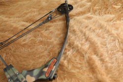 Late Movie Star Paul Walker's Personally Owned Martin M-44 Firecat Compound Bow W/ Case, Extras, COA - 12