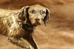 French Spaniel Hunting Dog "Fabio" Pierre-Jules P.J. Mene 13" x 4 3/4" Bronze Sculpture - 10