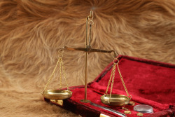 Modern Made Antique Gold Rush Style Miner's Assaying Pocket Scale - 5