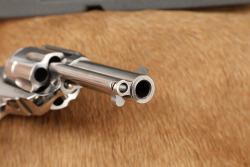Ruger New Model Vaquero 5 1/2" .44 Mag Stainless Single Action Revolver & Box, MFD 2003 - 17