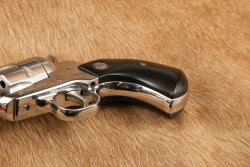 Ruger New Model Single-Six Convertible .22 LR & WMR 4 3/4" Stainless Single Action Revolver - 12