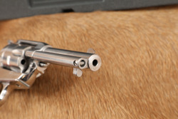 Ruger New Model Single-Six Convertible .22 LR & WMR 4 3/4" Stainless Single Action Revolver - 17
