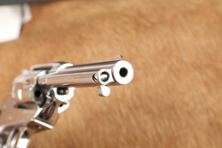 Ruger New Model Single-Six TALO Exclusive .22 LR & WMR Stainless 3 3/4" Single Action Revolver, 2011 - 18