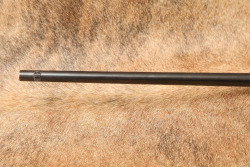 Winchester Model 1902 .22 Short, Long 18&rdquo; Bolt Action Single Shot Boys Rifle, 1902-1931 C&R - 10
