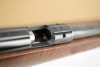 Canyon Creek Custom Anschutz Model 1710 .22 LR 23" Box Mag Bolt Action Rifle - 17