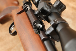 Ruger 77/22 20" .22 WMR Magnum Bolt Action Rifle & Piney 3&ndash;9x40EG Scope, MFD 1996 - 23
