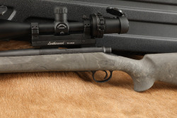 Remington Model 700 SPS Tactical .308 Winchester 20&rdquo; Rifle, Leatherwood ART M-1000 Scope, 2014 - 10