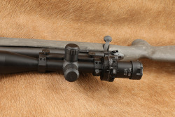 Remington Model 700 SPS Tactical .308 Winchester 20&rdquo; Rifle, Leatherwood ART M-1000 Scope, 2014 - 14