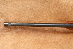 FN Browning Model SA22 SA-22 .22 LR Takedown Semi-Auto Rifle & Case, MFD 1961 C&R - 12