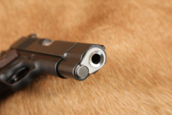 Dan Wesson Valkyrie Commander 9mm 4 1/4" SA Semi-Auto Pistol, MFD 2010-2020 - 17