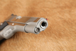 Dan Wesson PM-9 9mm Stainless Single Action 5" Semi-Auto Pistol, MFD ca 2009 - 18