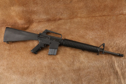 Colt AR-15 A2 Sporter II .223 Rem 20&rdquo; Semi-Auto Rifle & Paperwork, MFD 1978 - 3