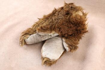 Antique Early 1900s Brown Bison / Buffalo Fur Frontiersman's Trapper's Mittens
