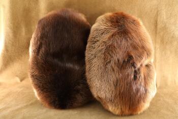 Lot of 2 Genuine Beaver Fur 28" x 20" x 7" Throw Pillows