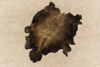 Alum Tanned Full Grain Buffalo Hide. 70x98"