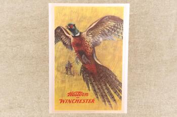 Vintage 1955 Western Winchester Pheasant Hunting 42" x 28" Advertising Poster