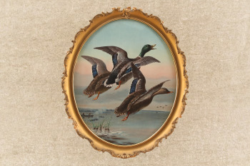 Antique 1904 Winchester "Three Mallard Ducks Flying" Hunting Advertising Poster Framed Calendar Top