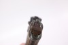 WWI German erfurt Imperial Arsenal 1918 P.08 Luger 9mm Semi Automatic Pistol - 19