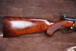 Winchester 1950s Model 75 “Sporting” .22 LR 24” Bolt Action Rifle 1955 C&R - 2