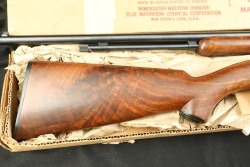 Winchester 1950s Model 61 Special Semi-Deluxe .22 S/L/LR 24" Pump Action Rifle & Box 1958 C&R - 2