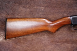 Winchester 1950s Model 61 “Garden Gun” .22 LR Shot Only 24” Straight Smoothbore Pump Action Rifle 1957 C&R - 2