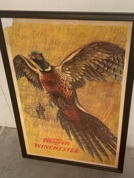 Vintage 1950s Western Winchester Pheasant Hunting Advertising Poster