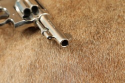 Factory Nickel Smith & Wesson .32 Hand Ejector 3rd Model .32 S&W Long 3.25&Prime; DA/SA Revolver C&R - 18