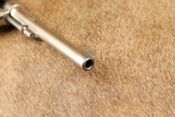 Factory Nickel Smith & Wesson .32-20 Hand Ejector Model of 1905 4th Change 6&rdquo; DA/SA Revolver C&R - 18