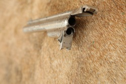 Rare Engraved Merwin Hulbert .38 Cal. 4th Model Pocket Revolver Nickel w/ Folder Hammer Spur 1883-92 Antique - 20