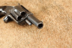 3-Digit S/N, First Year Antique Colt Pre-Etched Panel New Line .38 RF 2.25&rdquo; 5-Shot Pocket Revolver 1874 - 13